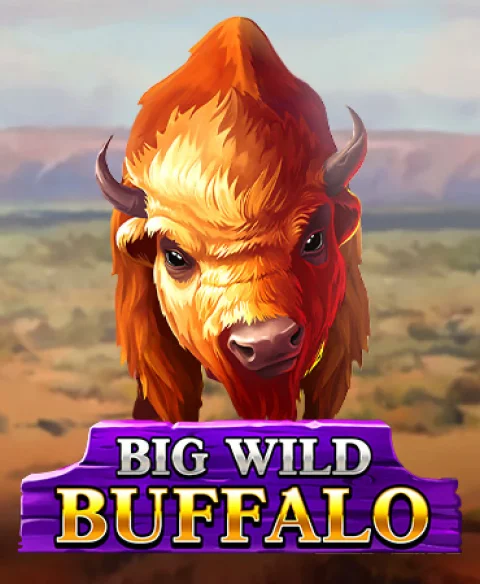 Play Big Wild Buffalo at Doggo Casino